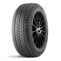 DoubleStar DW09 225/45 R18 95T